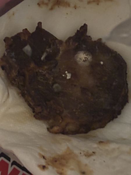File:Porkchop.jpg