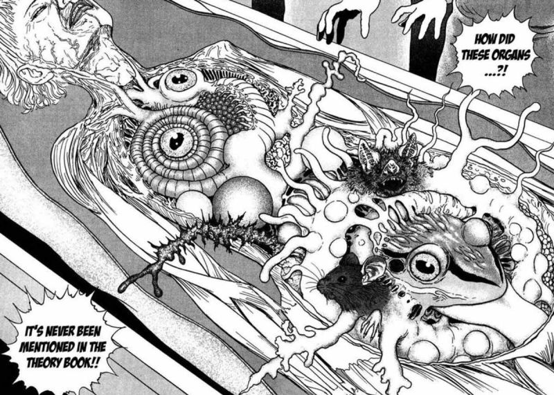File:Organs.jpg